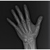 RayScan Alpha